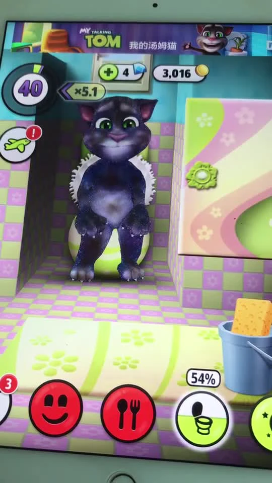 我的汤姆猫脏的不成猫样了